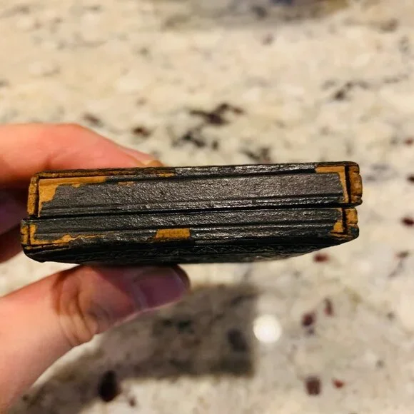 Antique 19th Century 1/6 Plate Ambrotype Daguerreotype Family Portrait - Picture 8 of 9